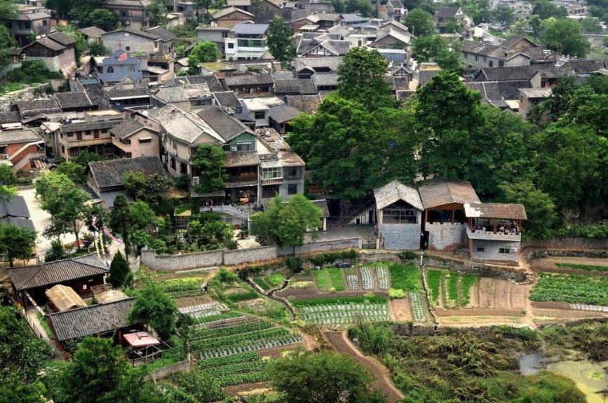 救援可爱小学生